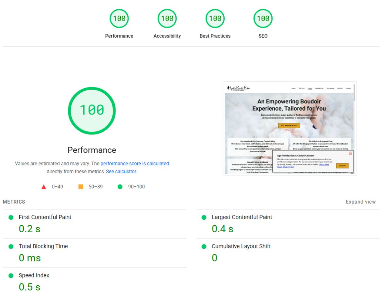 Screenshot of Google PageSpeed Insights showing scores of 100 across all categories for a website I built